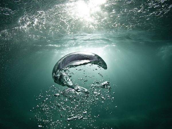 The most beautiful nature photos in December 2011