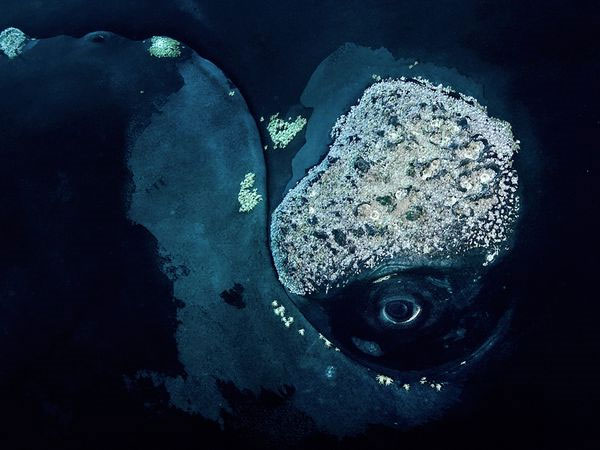 The most beautiful nature photos in November 2011