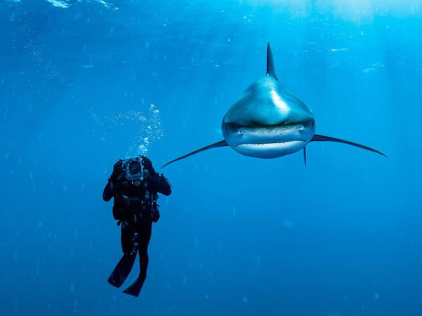 The most beautiful nature photos in October 2011