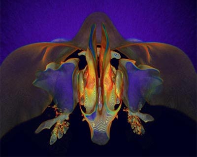 The most beautiful scientific photo in 2007