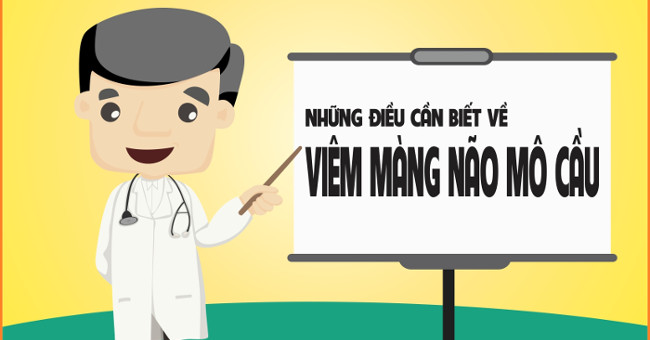 The most complete and detailed information about meningococcal meningitis