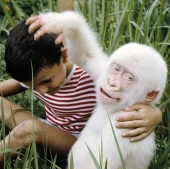 The most exotic albino species