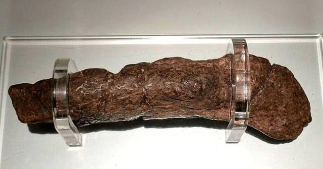 The most expensive feces in the world, 80kg worth $ 3 million