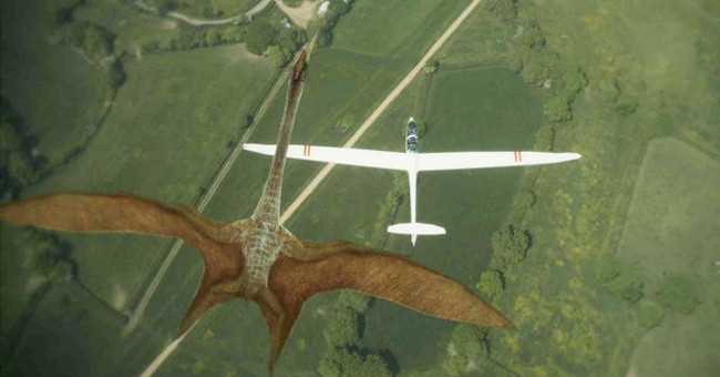 The most frightening 'monster' in history, the tyrant dinosaurs become their meals