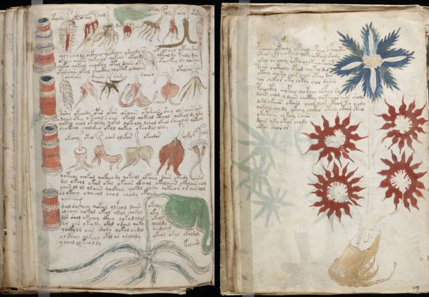 The most mysterious manuscript in the world has been decoded
