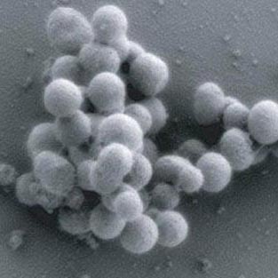 The most successful scientific ideas in the past year