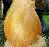 The most terrifying onions in the world