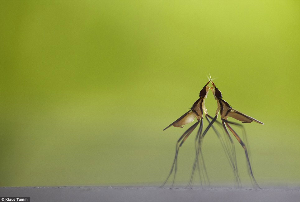 The most vivid moments of nature