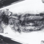The mummy 'big footed man' debuted