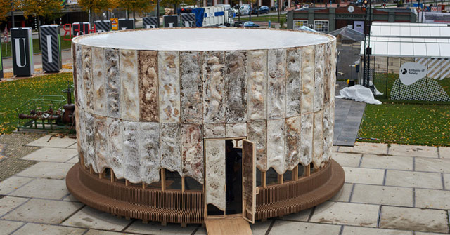 The mushroom-friendly home is: the more lush the mushroom, the more it absorbs more CO2 from the air