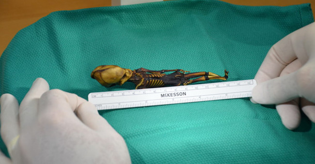 The mysterious 'alien skeleton' is decoded