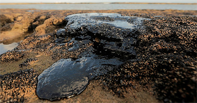 The mysterious 'black tide' suffocates Brazil's more than 4,400km coastline