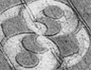 The mysterious circles on the field have no answers