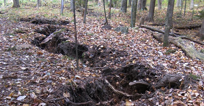The mysterious crack is 110 meters long in the American forest