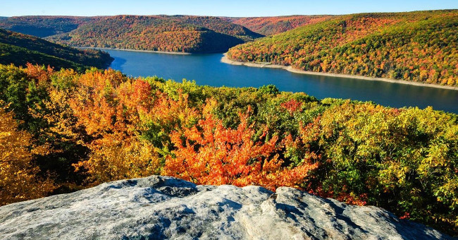 The mysterious forest lies in the heart of America