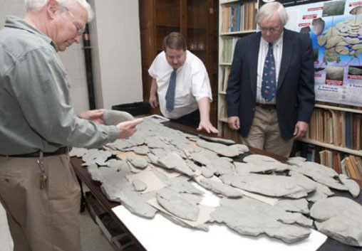 The mysterious fossil confuses the American scientist