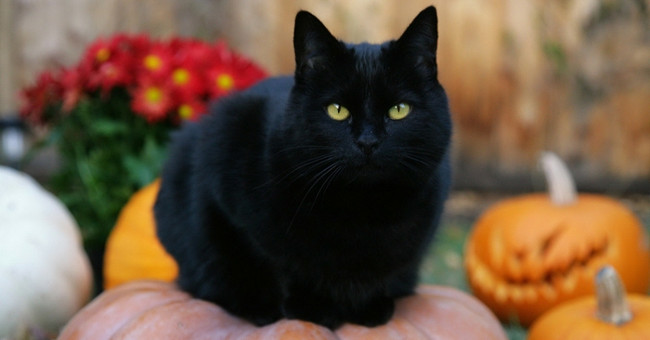 The mysterious legends of Halloween