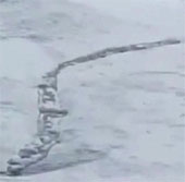 The mysterious 'monster worm' appeared on the glacier