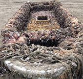The mysterious ship drifted to the US coast