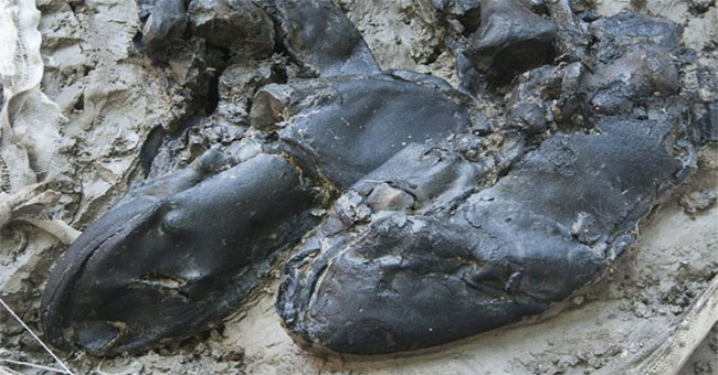 The mysterious skeleton carries the leather boots on the bottom of the River Thames