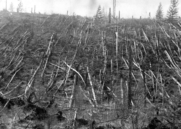 The mysterious Tunguska event for more than a century