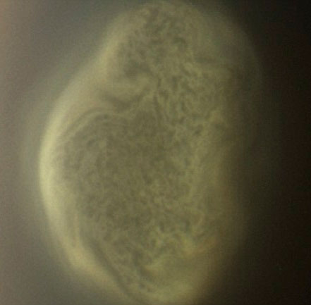 The mysterious whirlwind sweeps the moon of Saturn