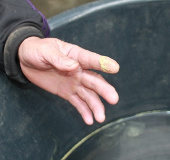 The mysterious yellow rain in Nghe An