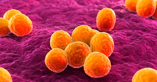 The mystery behind launching deadly bacteria into space