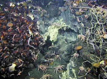The mystery in the ocean