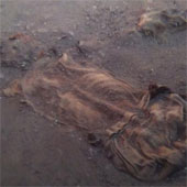 The mystery of mummies of