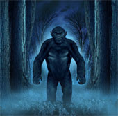 The mystery of the Bigfoot beast is clarified