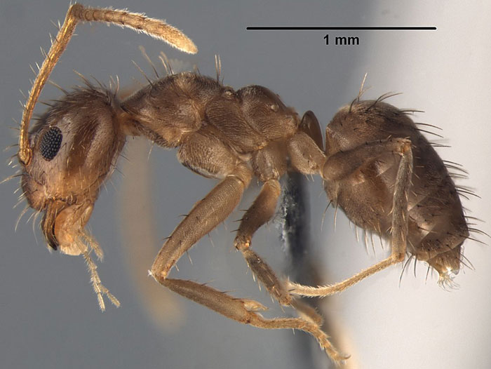 The mystery of the crazy species' to NASA must also be afraid