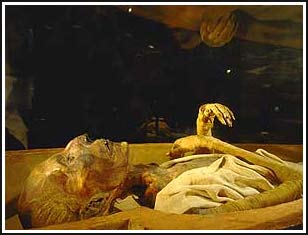 The mystery of the mummies