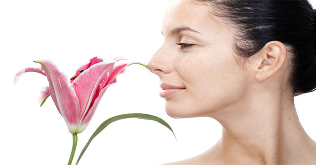 The mystery of the relationship between poor sense of smell and the risk of death