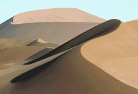 The mystery of the Sahara jungle