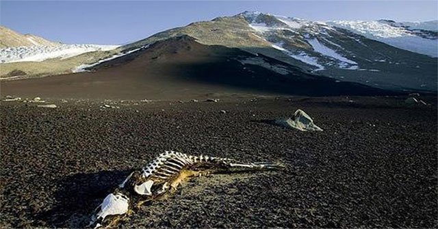 The mystery of the valley of corpses, going in is painful dry death