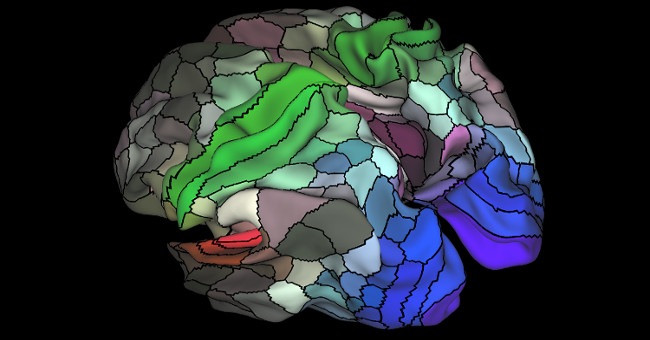 The new brain map revealed 97 unknown regions