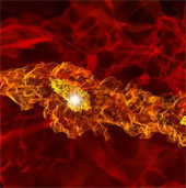 The new discovery shocked the star's appearance
