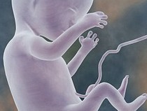 The new technique doubles the chance of having a baby by IVF