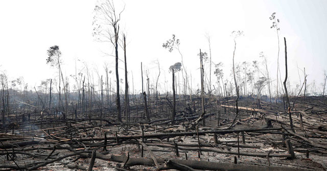 The New York Times: Analysis of satellite images has pinpointed the culprit in the Amazon forest fire