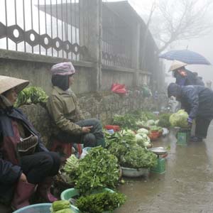 The North continues to cold rain, the South has seasonal rains