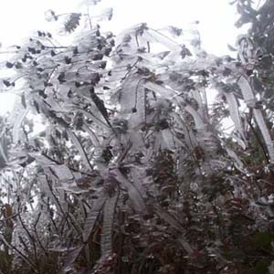 The North suffered two more waves of cold air