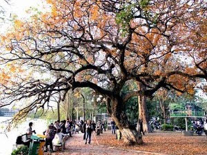The northern provinces are beautiful during the holidays on April 30
