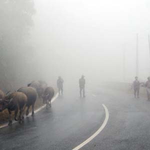 The northern provinces are cold and scattered little rain