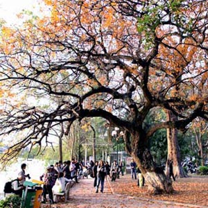 The northern provinces are sunny after the cold spell