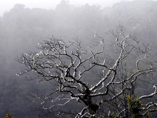 The northern provinces are very cold, the mountainous areas are cold