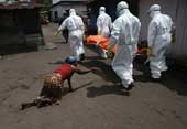 The number of deaths due to Ebola virus in the world exceeds 10,000