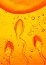 The number of infertility cases in Malaysia increased sharply