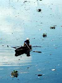 The numbers are frightening about the environment