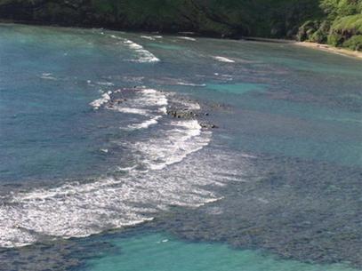 The ocean is acidified